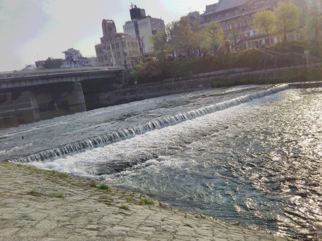 IMG_20200426_071641.jpg