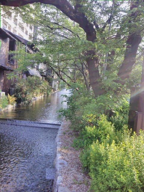 IMG_20200426_070801.jpg