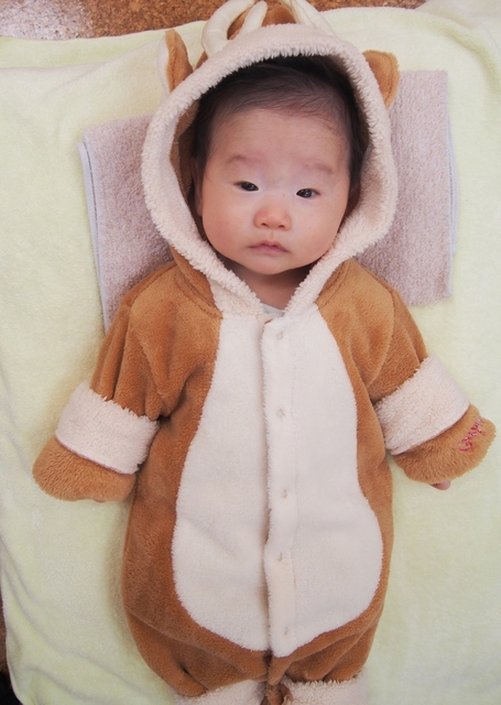 PC170010_NEW.jpg