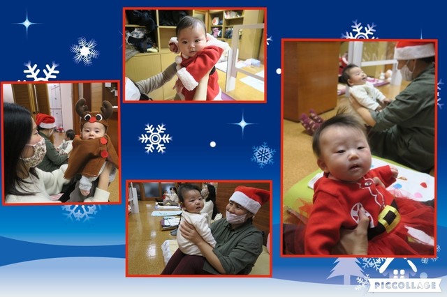 Collage 2020-12-23 14_47_22.jpg