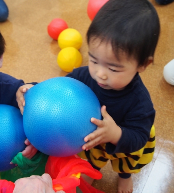P2040142_NEW.jpg