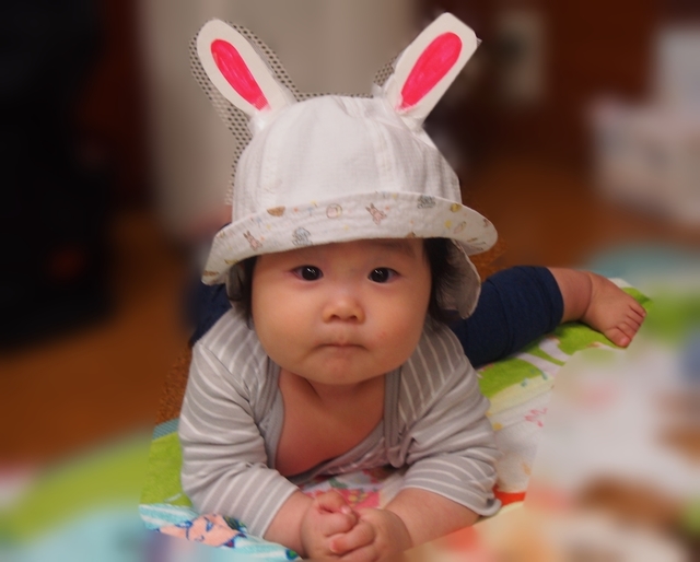 P1010009_NEW_NEW.jpg