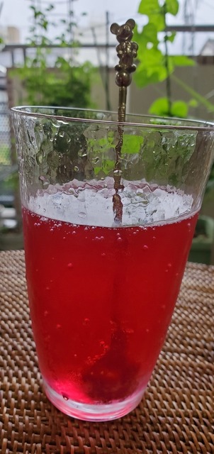 20220621_153212.jpg