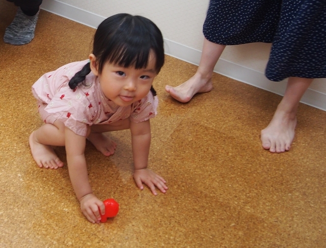 P7070064_NEW.jpg