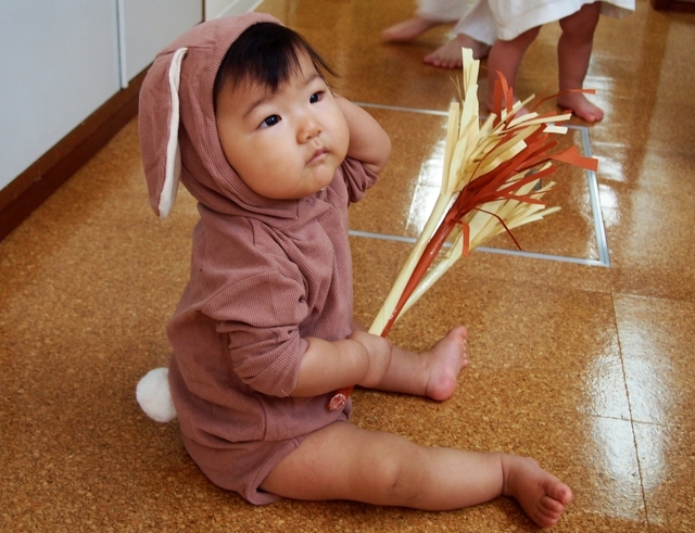 P9080008_NEW.jpg