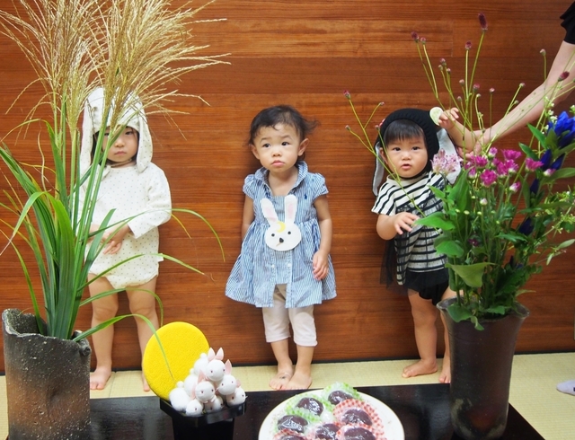 P9080033_NEW.jpg